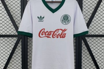 Sociedade Esportiva Palmeiras 1987 visitante